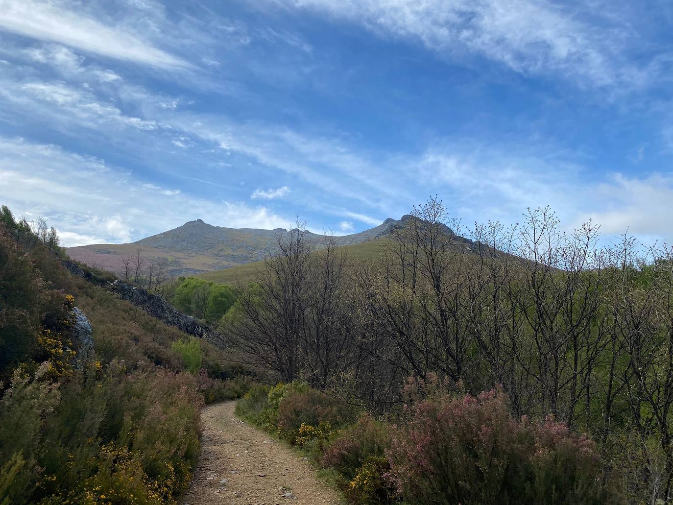 Diego Alonso y Alba García se coronan en la Truchillas-Vizcodillo