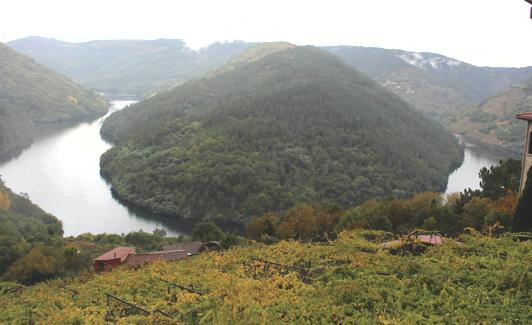 Vistas al río desde una de las bodegas de la comarca. 