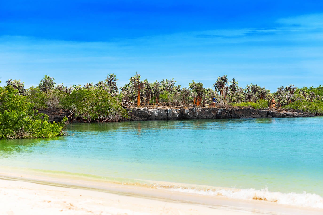 Isla Santa Cruz (Galápagos)