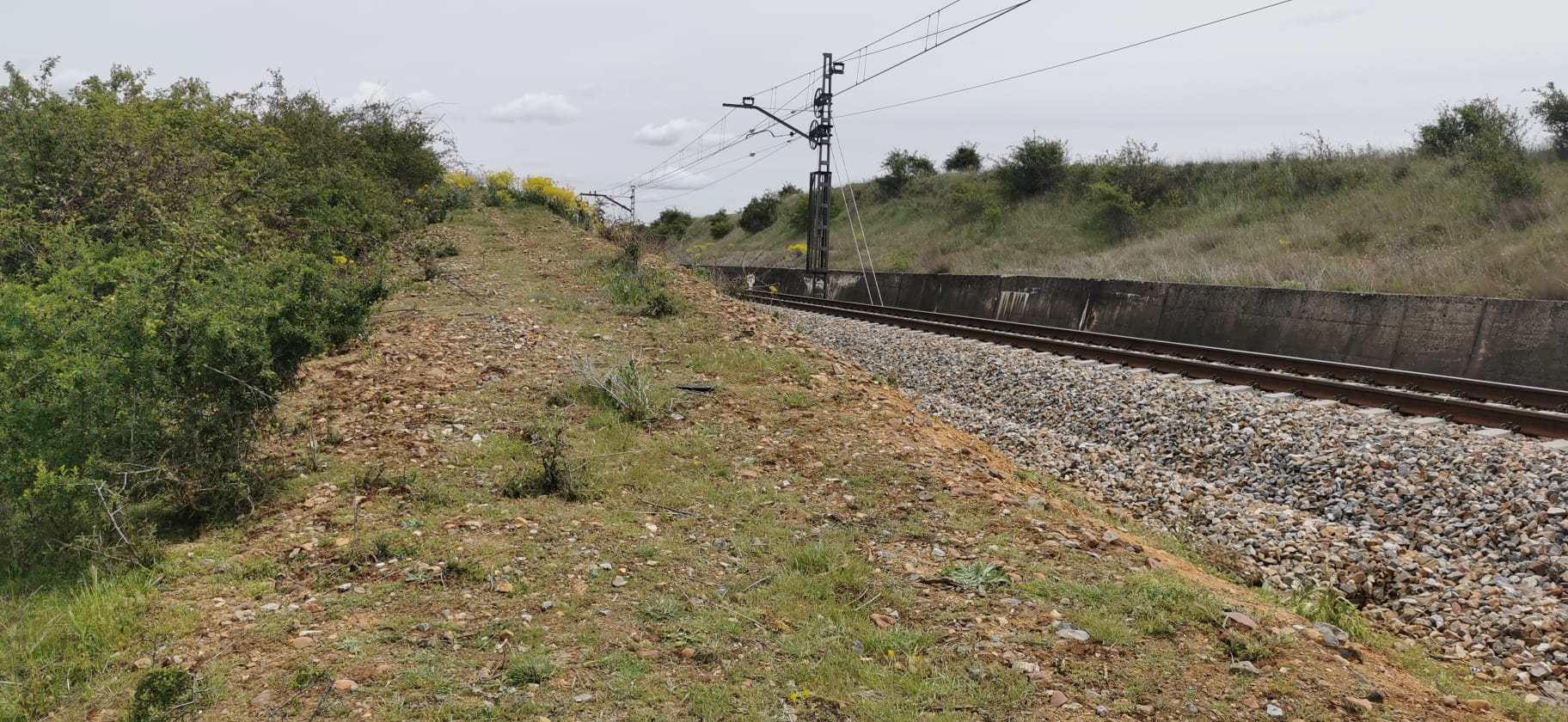 Punto exacto en el que apareció el cadáver.