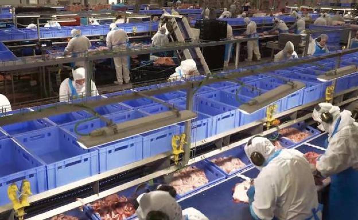 La industria alimentaria crece en la comunidad.