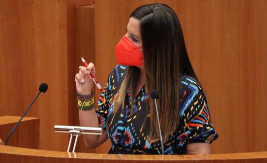 Nuria Rubio, portavoz socialista.