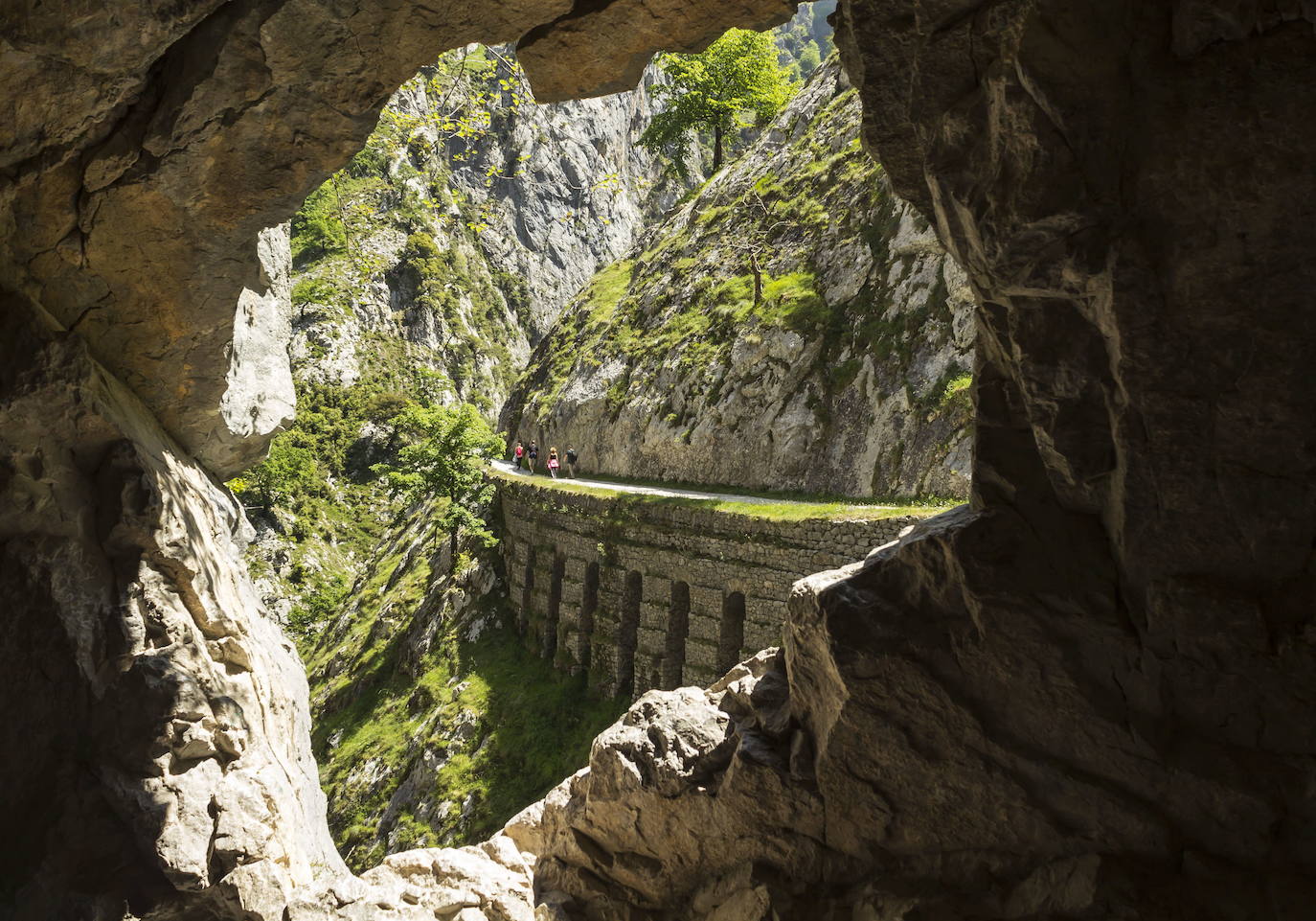 RUTA DEL CARES (PICOS DE EUROPA, LEÓN - ASTURIAS) | En el Parque Nacional de los Picos de Europa, uno de los más visitados de España, se encuentra uno de los itinerarios de senderismo más conocidos, la Ruta del Cares. Mediante unos 12 kilómetros de recorrido, une las provincias de Asturias y León. Esta senda recibe su nombre del río Cares, que la acompaña durante todo el camino, aunque también es conocida como la Divina Garganta. El visitante transitará por caminos estrechos y desfiladeros. 