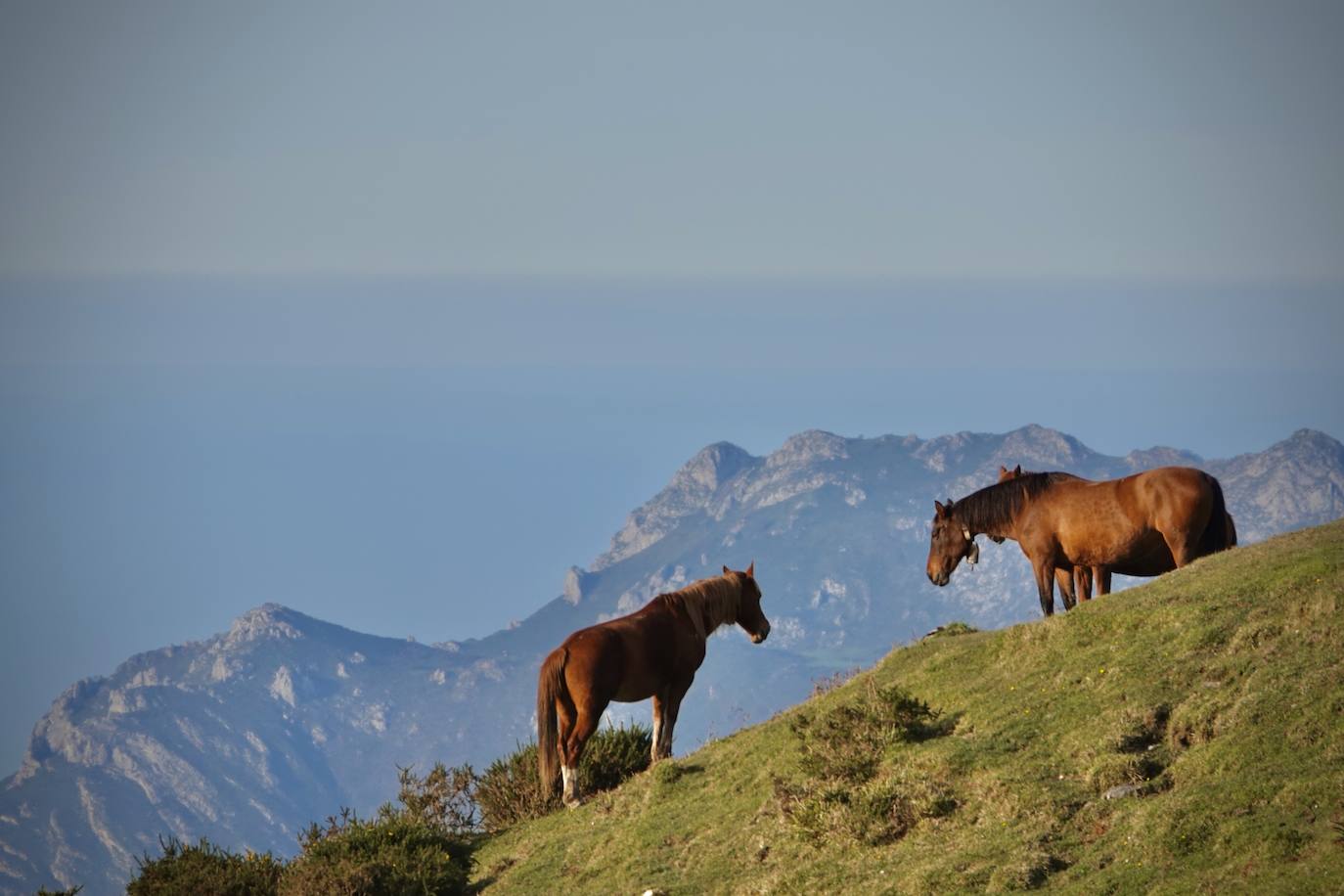 Fotos: El monumental espectáculo de la naturaleza en los Picos de Europa