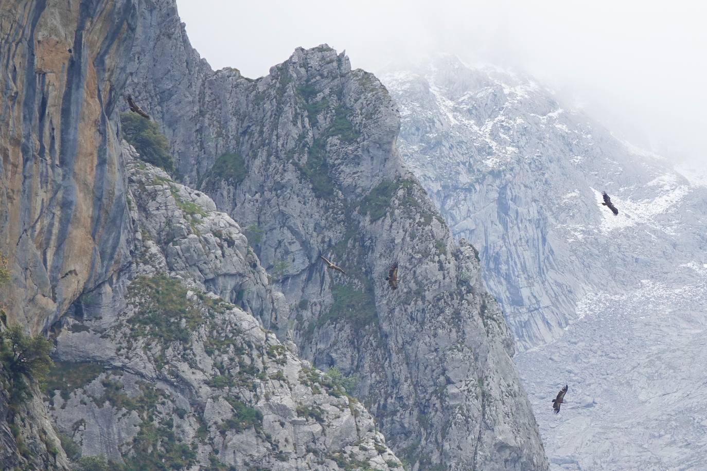 Fotos: El monumental espectáculo de la naturaleza en los Picos de Europa