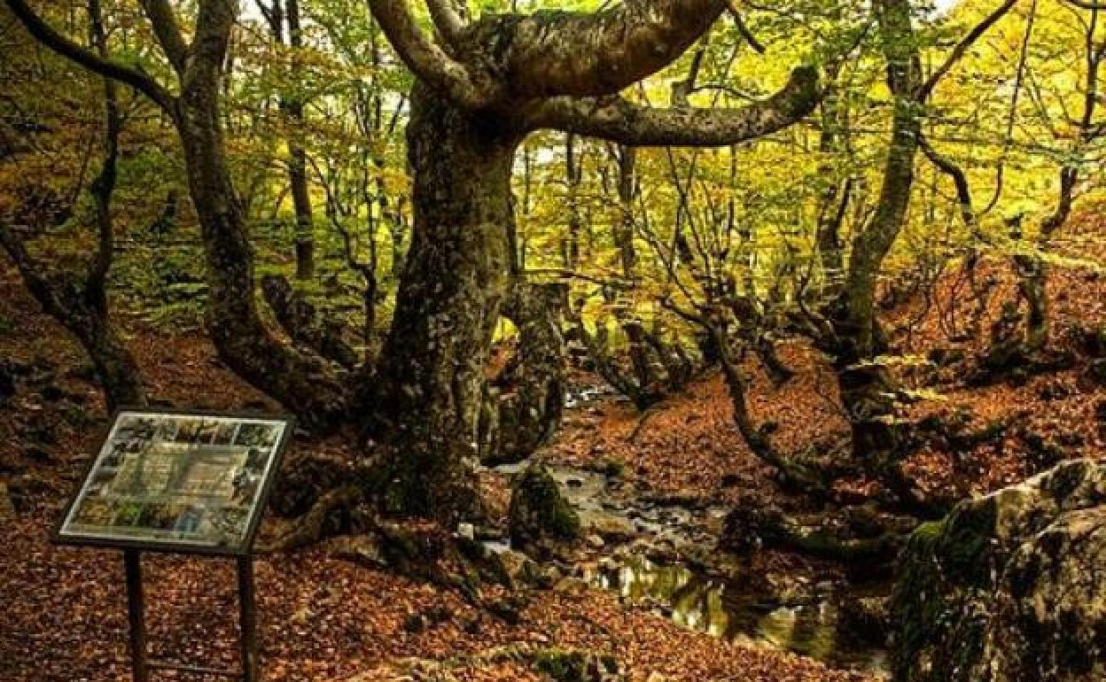 La Fundación Patrimonio Natural de Castilla y León participa en el Congreso Nacional de Medio Ambiente