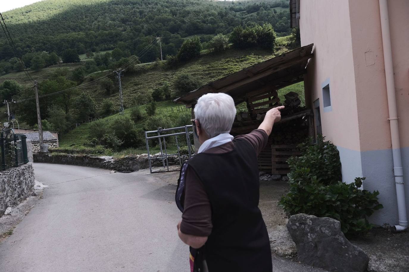 Una vecina de 75 años de Cangas del Narcea fue atacada por un oso en las inmediaciones del municipio. La mujer terminó con la pelvis rota y un desgarro en la cara por lo que fue trasladada al hospital.