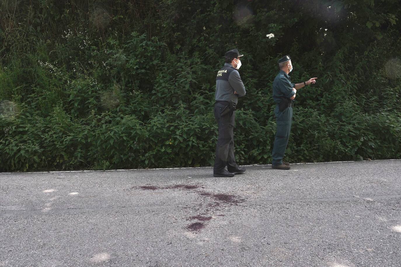 Una vecina de 75 años de Cangas del Narcea fue atacada por un oso en las inmediaciones del municipio. La mujer terminó con la pelvis rota y un desgarro en la cara por lo que fue trasladada al hospital.