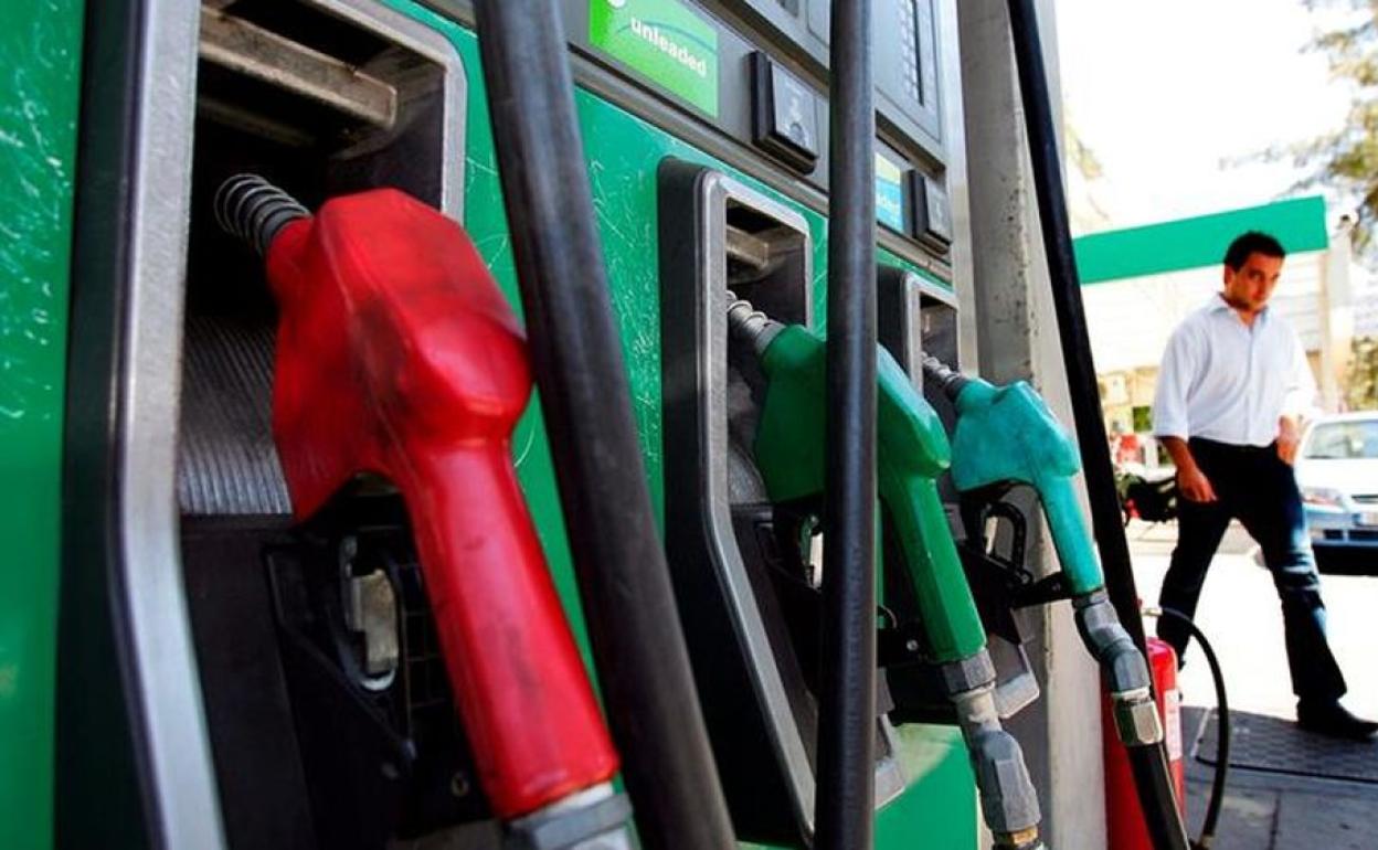 Al fuerte incremento de los precios ha contribuido el encarecimiento de los carburantes y combustibles.