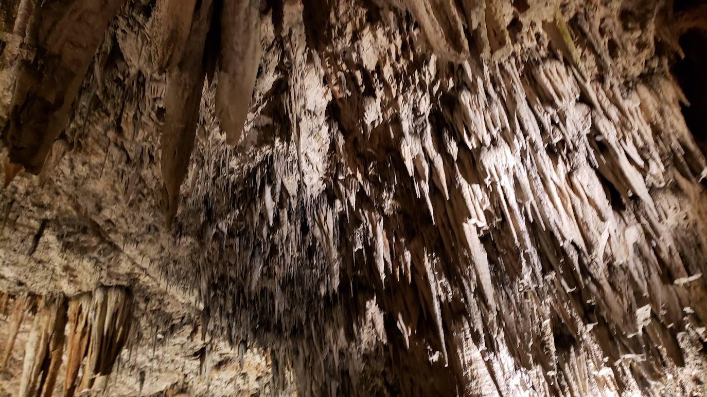 Ubicada en el corazón de la montaña leonesa la Cueva de Valporquero sigue deslumbrando una y mil veces. Un millón de años de historia convierten sus salas en un escenario al que merece la pena regresar de forma recurrente. 