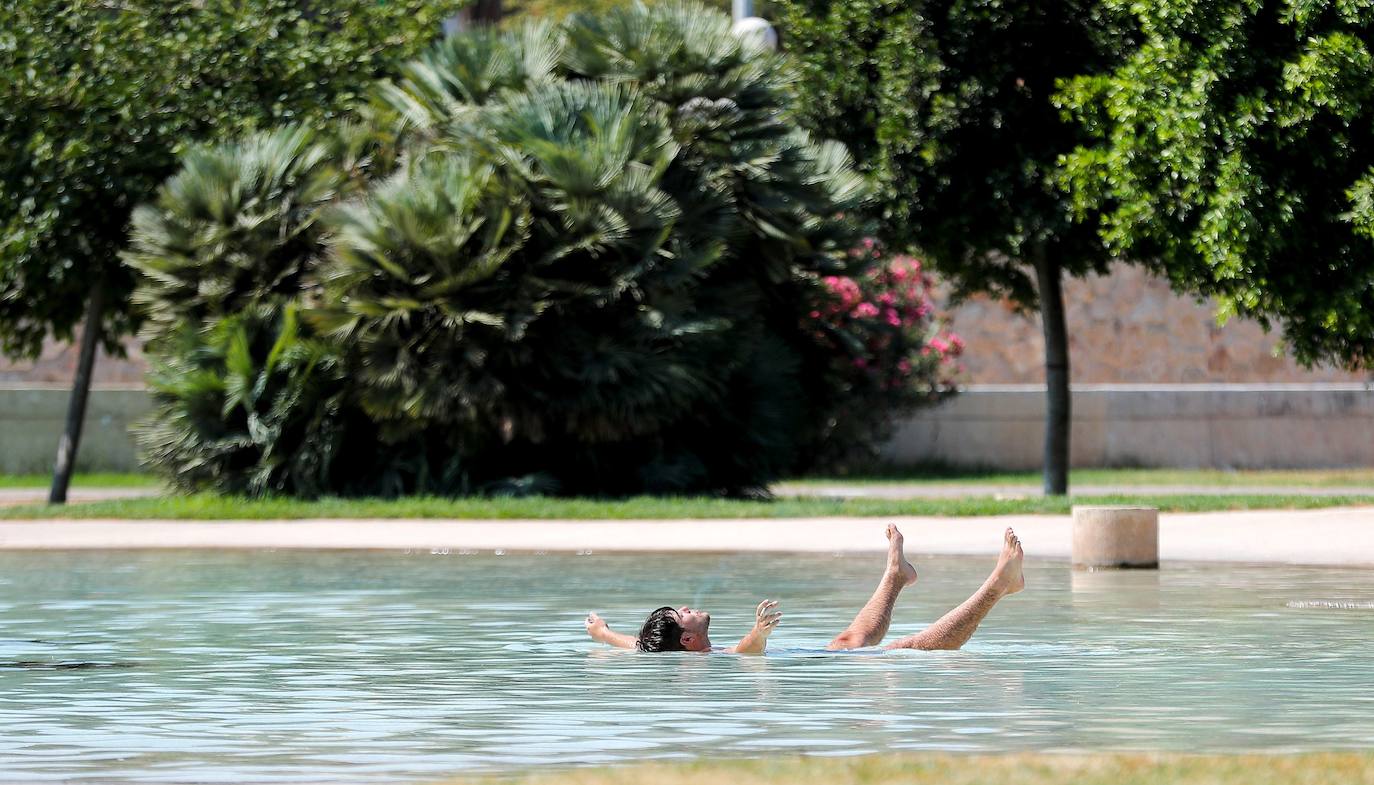 Parque del Río Turia, Valencia.