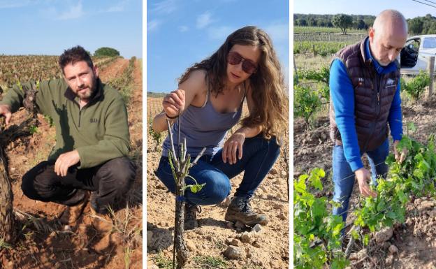 Quince minutos de granizada que destrozaron los viñedos de la Ribera de Duero