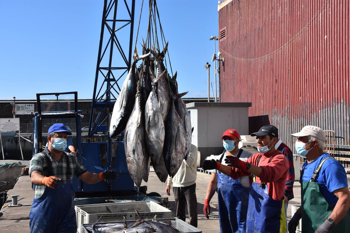 Una expedición con presencia leonesa viajó hasta las islas portuguesas para rodar un documental sobre las focas monje, un animal con apenas 650 ejemplares en el mundo.