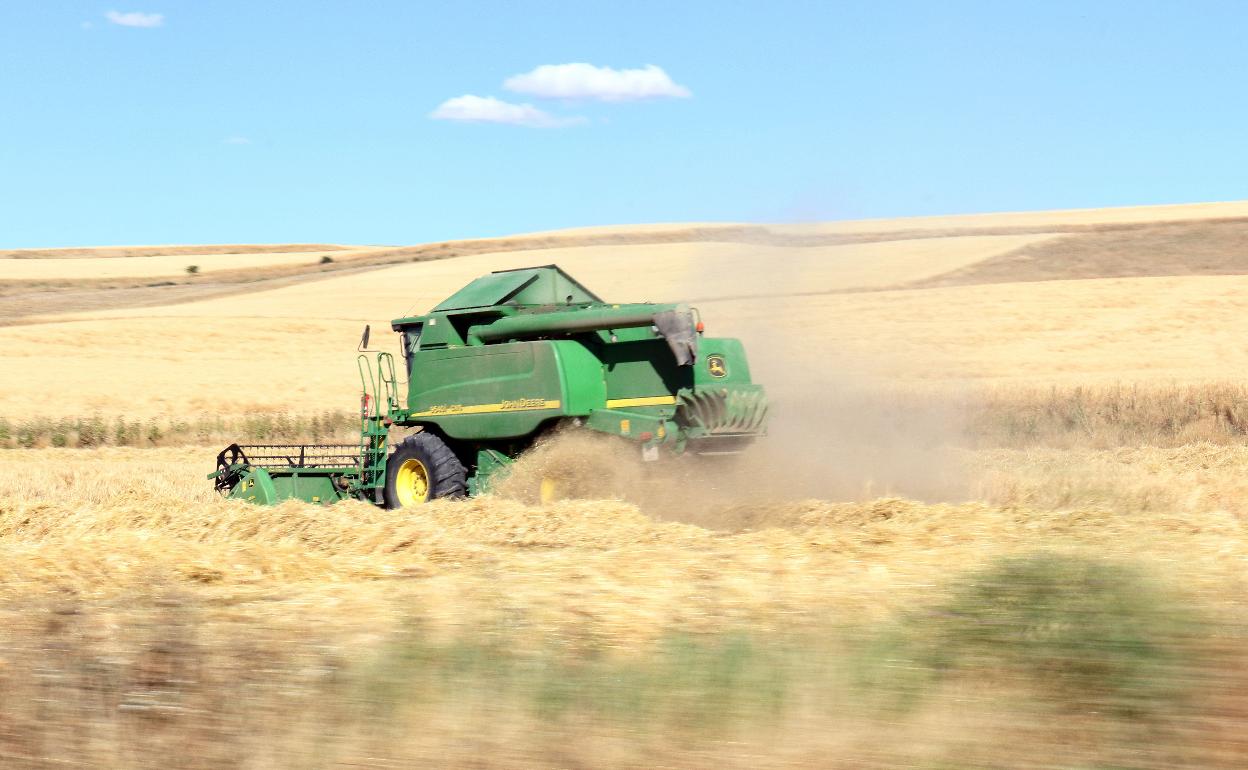 Cosecha de cereal el pasado año en Tierra de Campos. 