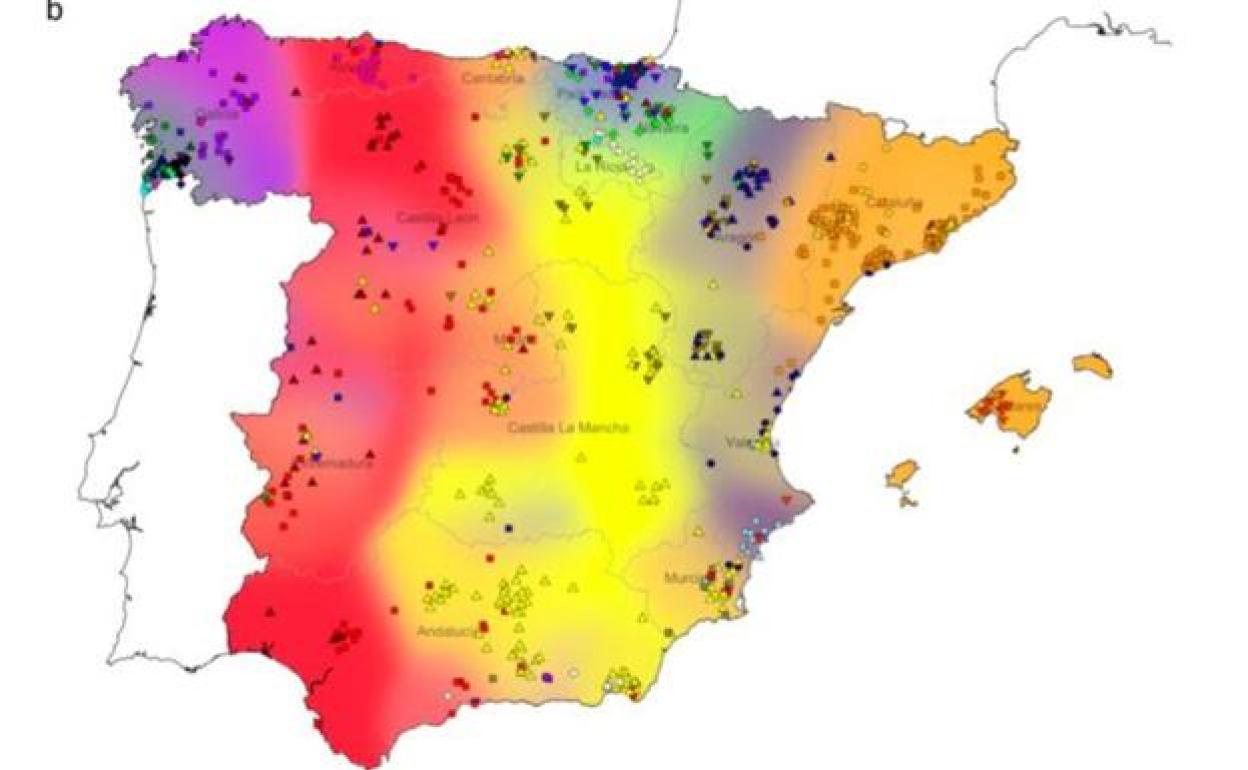 Mapa genético de la Península Ibérica realizado en el estudio 'Patrones de diferenciación genética y huellas de las migraciones históricas en la Península Ibérica'.