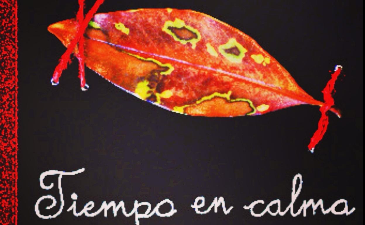 Portada del libro de Irene Fidalgo.