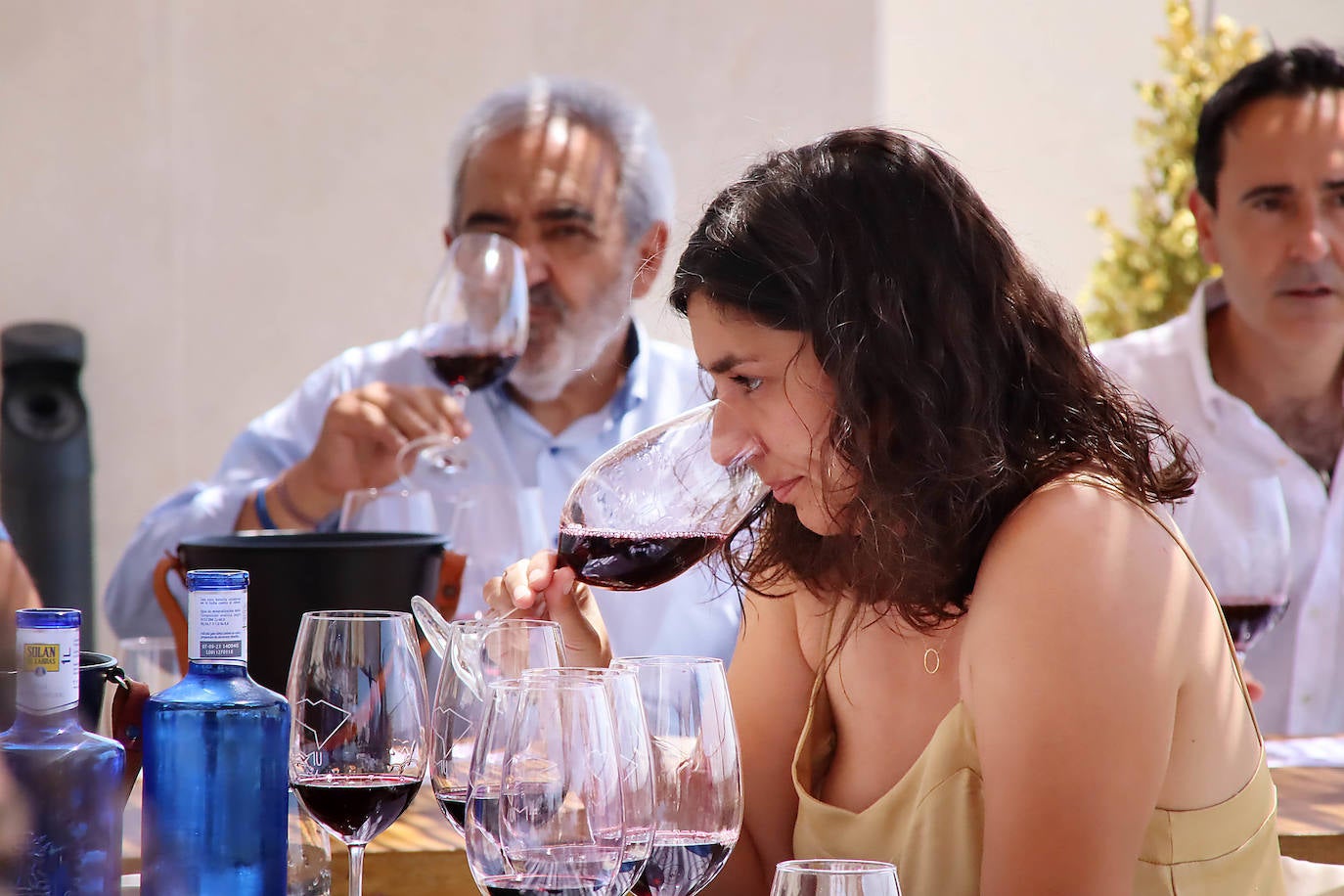 Calificación de la añada 2020 de los vinos DO de León