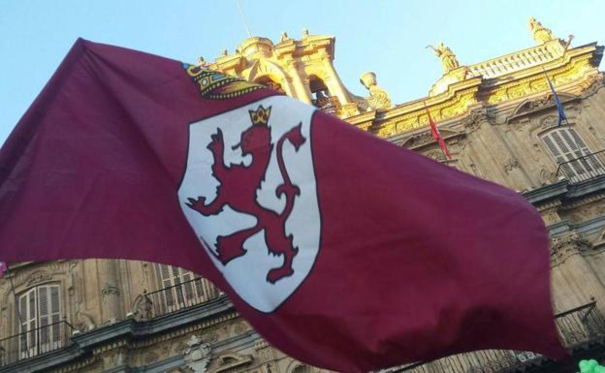 Una bandera leonesa en la plaza Mayor de Salamanca.