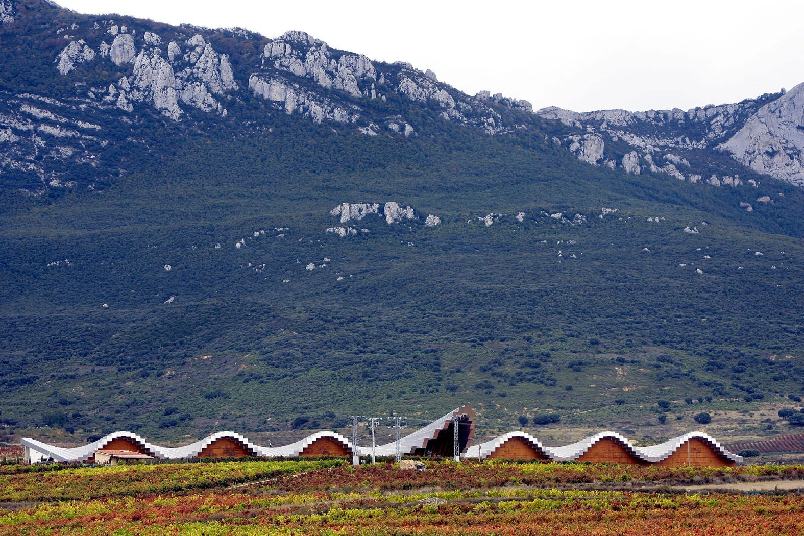 Bodegas Ysios, Laguardia. Obra de Santiago Calatrava. 