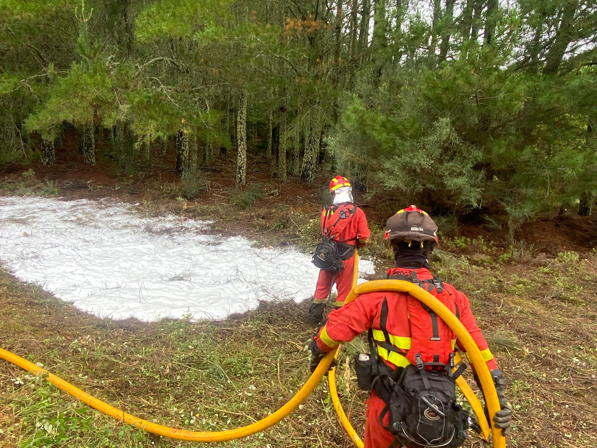 Cerca de 140 militares y medio centenar de vehículos participan en el ejercicio de instrucción y adiestramiento de Lucha Contra Incendios Forestales (LCIF) en El Bierzo que se extiende hasta este miércoles. 