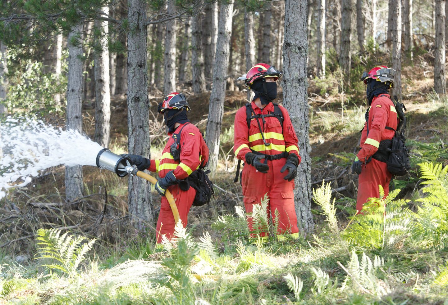 Cerca de 140 militares y medio centenar de vehículos participan en el ejercicio de instrucción y adiestramiento de Lucha Contra Incendios Forestales (LCIF) en El Bierzo que se extiende hasta este miércoles. 