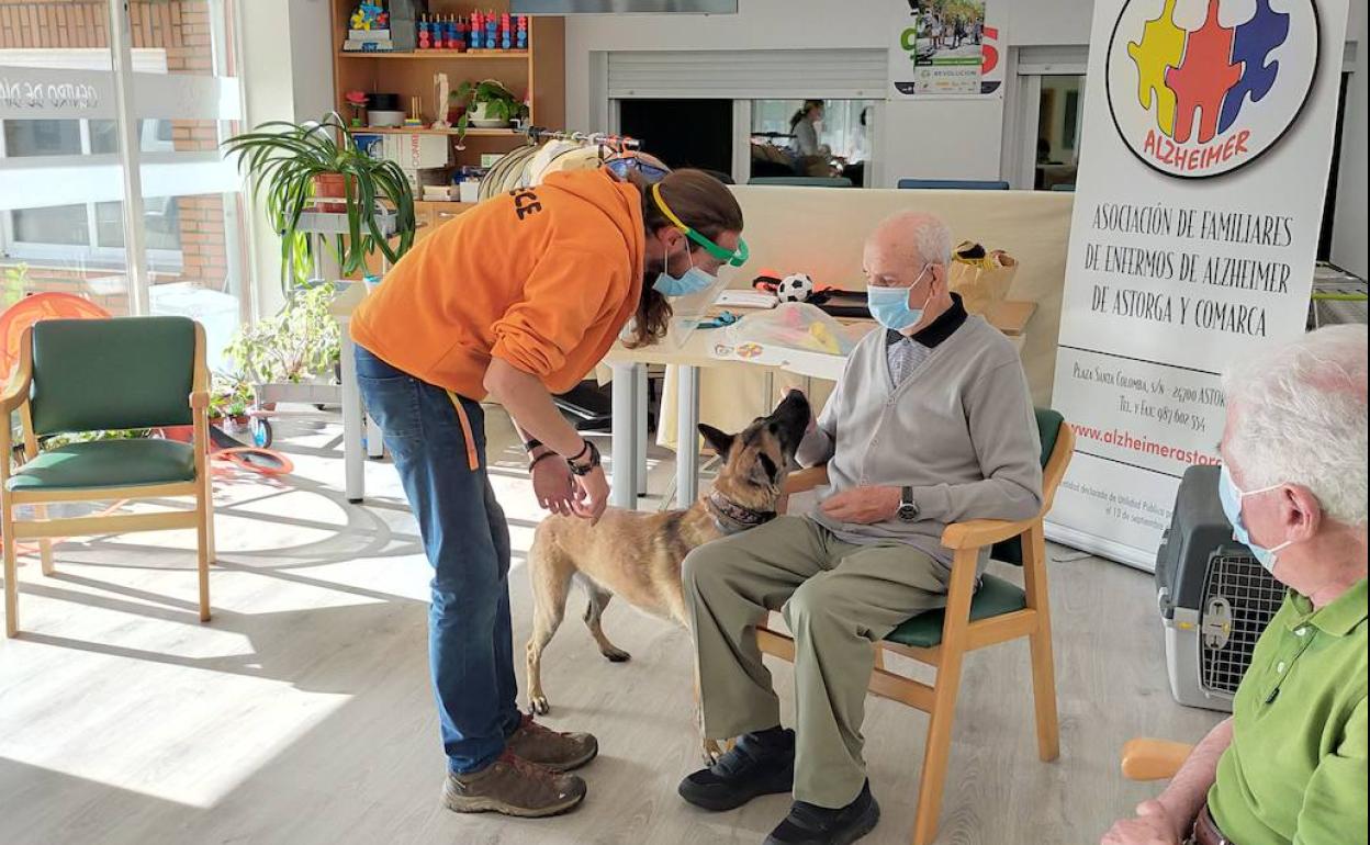 Actividad con perros en el centro de Día de Astorga.