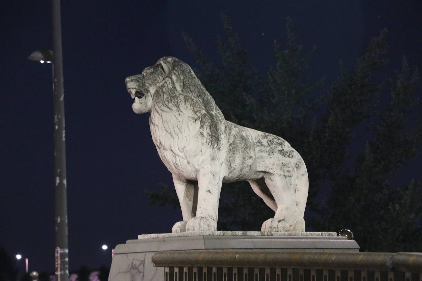 Fotos: Una noche de San Juan diferente