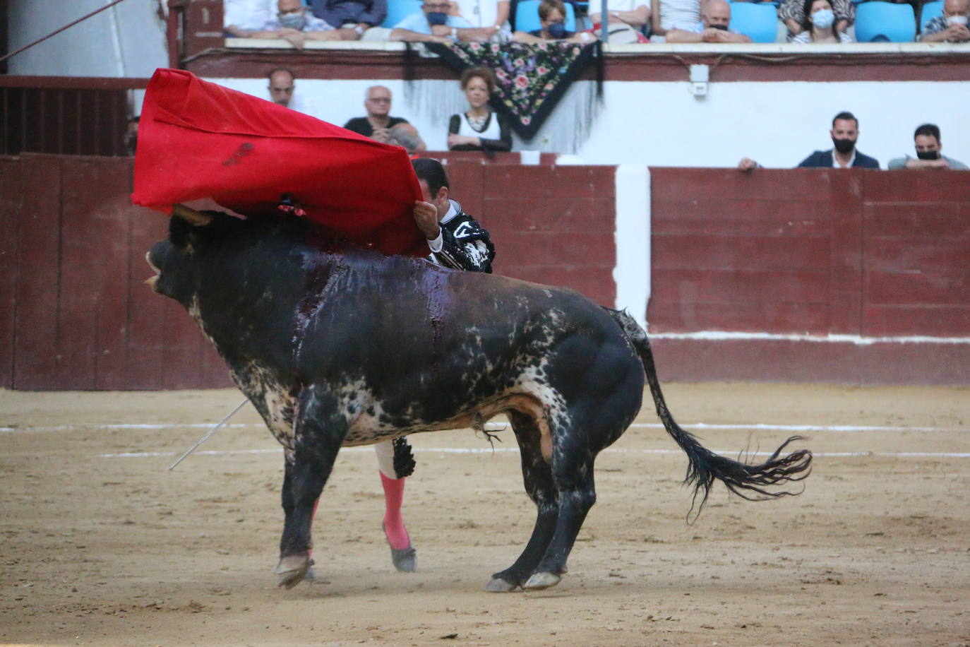 Fotos: Las mejores imágenes de Enrique Ponce en la plaza de toros de León