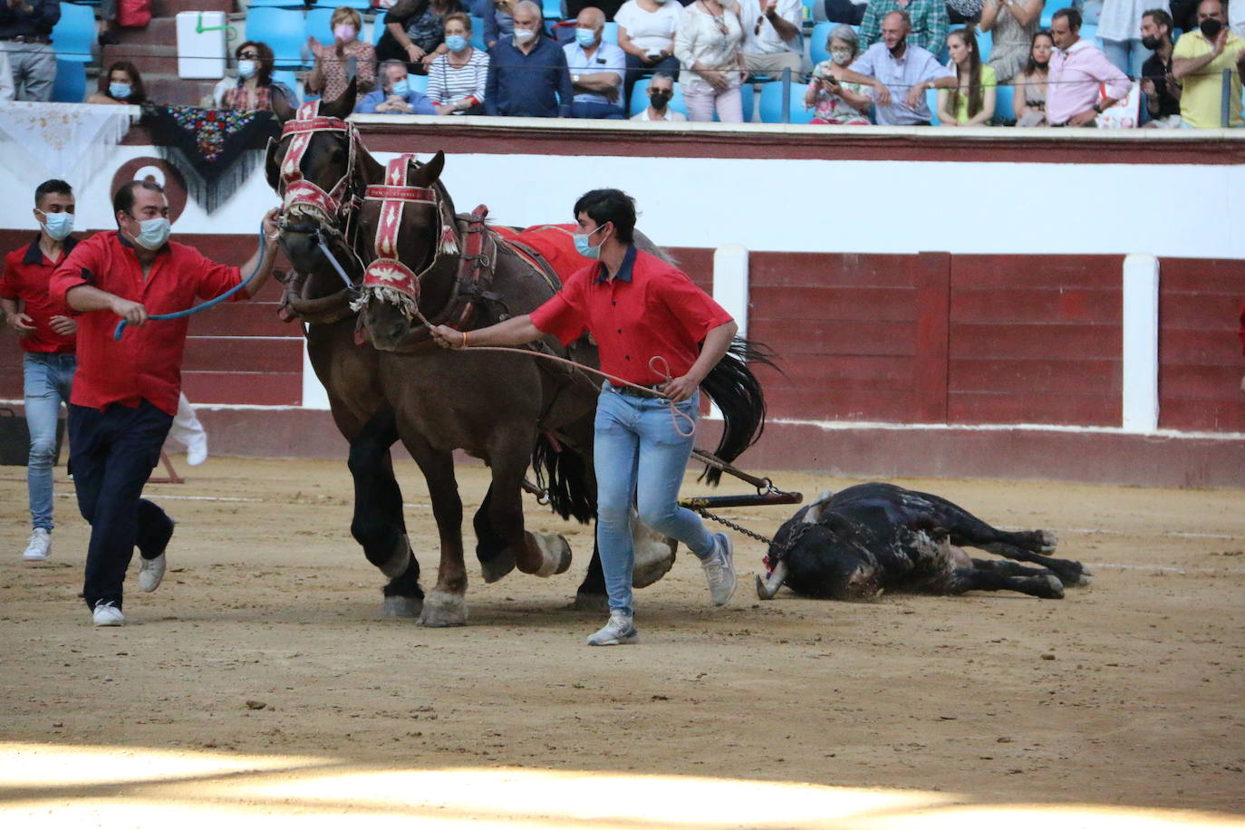 Fotos: Las mejores imágenes de Enrique Ponce en la plaza de toros de León