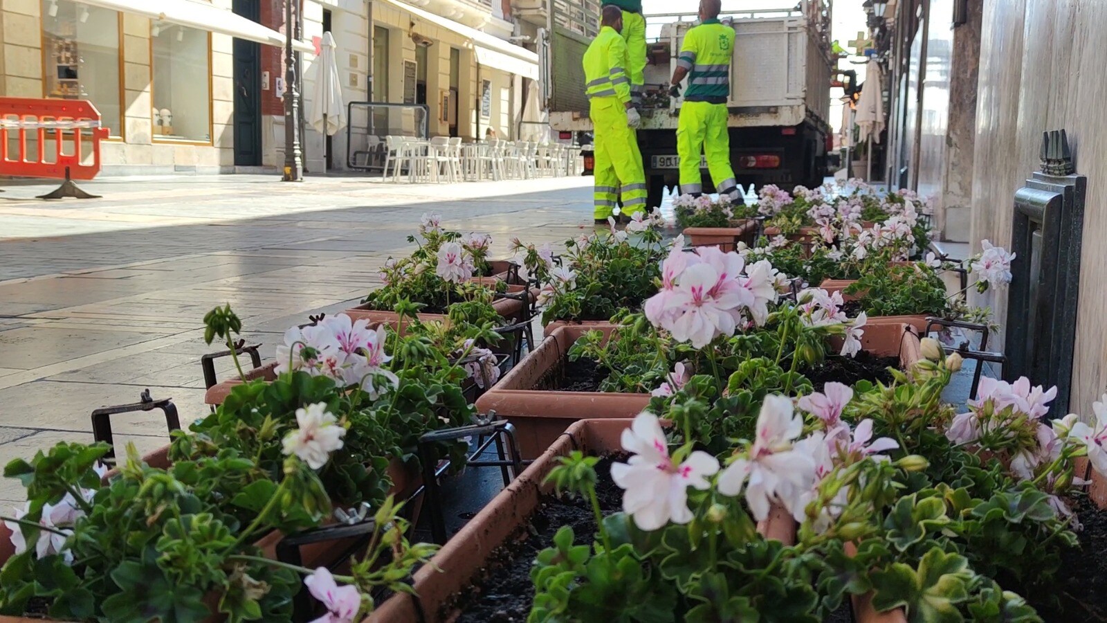 El Ayuntamiento de León acomete la renovación de las flores y maceteros que decoran los balcones de la emblemática vía | 1.400 jardineras de geráneos y ocho maceteros gigantes lucen los colores del verano en diferentes puntos de la ciudad