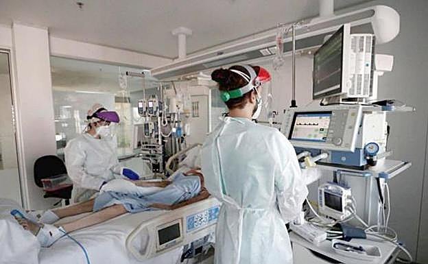 León registra 706 nuevos positivos de la covid-19 este fin de semana