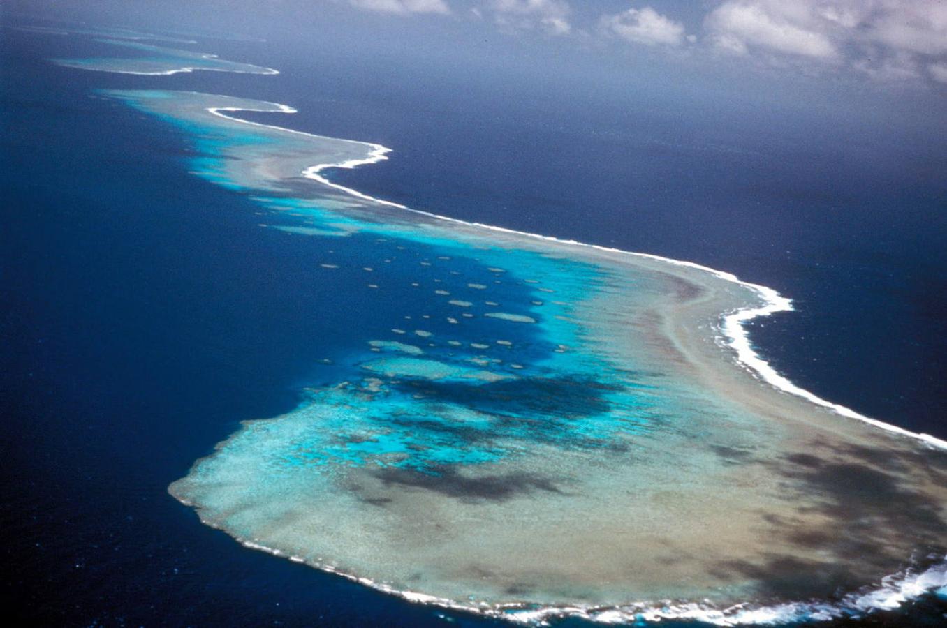 La Gran Barrera de Coral (Australia): Visible incluso desde la Estación Espacial Internacional, la barrera de coral es sin duda otro de los elementos más reconocibles de nuestro planeta y también uno de los más impresionantes por su gran belleza. Esta barrera se extiende a lo largo de nada menos que 2.500 kilómetros, frente al estado de Queensland. De ahí que muchos la consideren como el ser vivo más grande del planeta, con una extensión de casi 35 millones de hectáreas con hasta 70 hábitats diferentes.