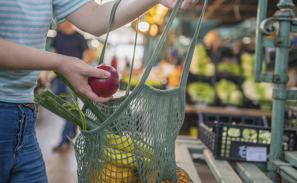 La producción y el consumo sostenible protagonizan un curso estival de la ULE