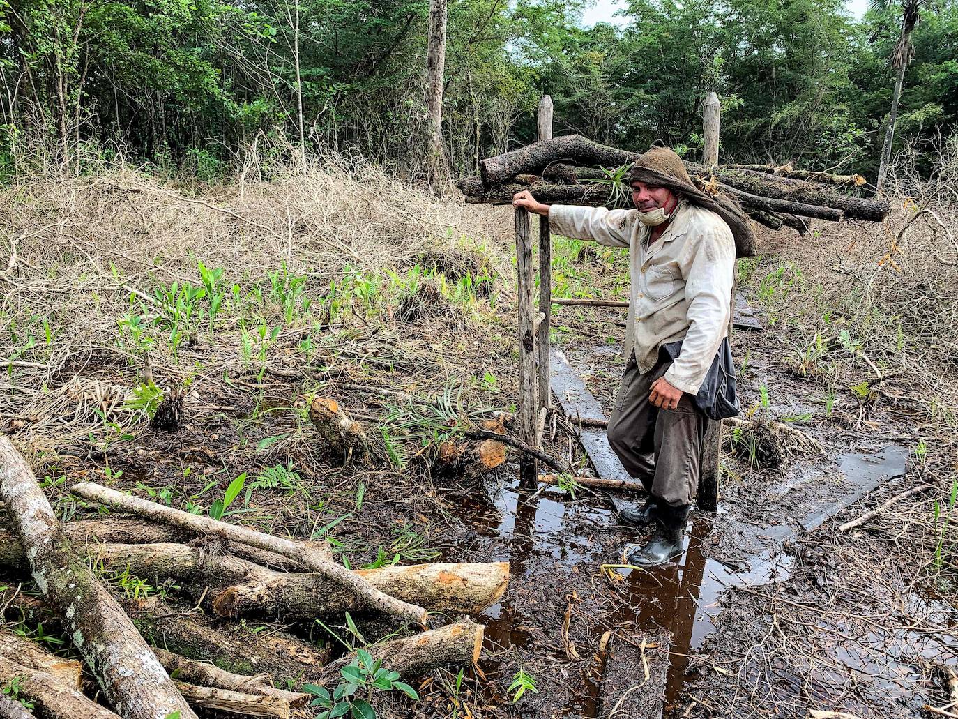 Los campesinos cubanos del Parque Nacional Ciénaga de Zapata, en Cuba, elaboran carbón vegetal con los mismos métodos y utensilios que sus antepasados, pero replantando árboles cortados.