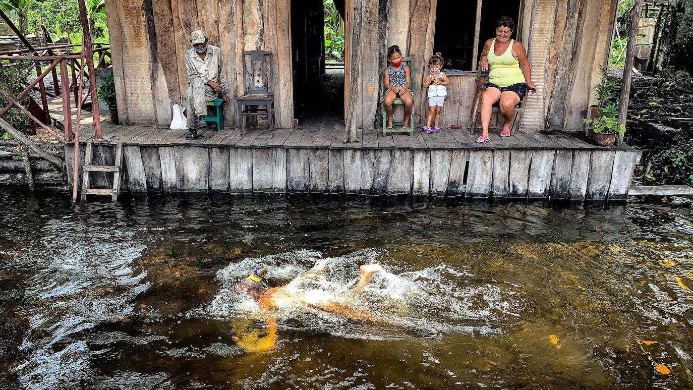 Los campesinos cubanos del Parque Nacional Ciénaga de Zapata, en Cuba, elaboran carbón vegetal con los mismos métodos y utensilios que sus antepasados, pero replantando árboles cortados.