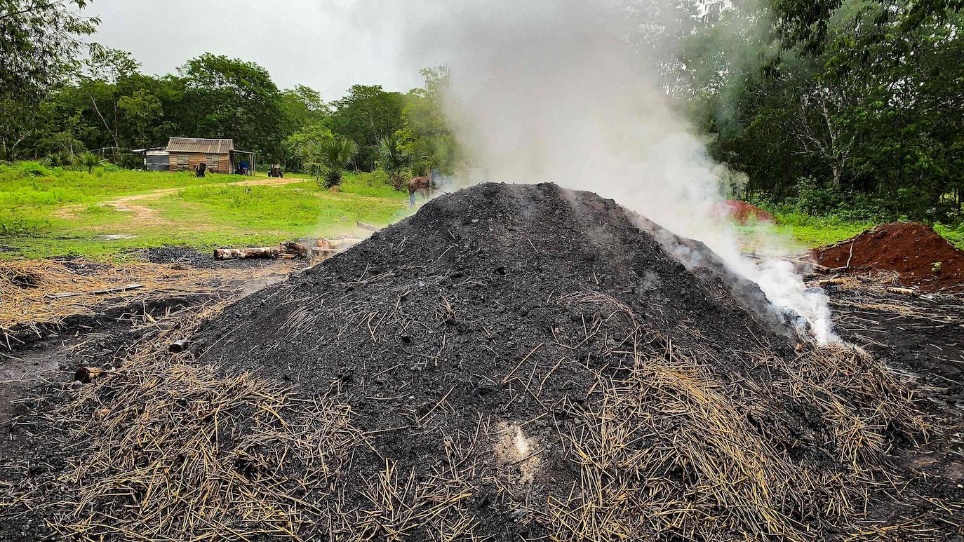Los campesinos cubanos del Parque Nacional Ciénaga de Zapata, en Cuba, elaboran carbón vegetal con los mismos métodos y utensilios que sus antepasados, pero replantando árboles cortados.