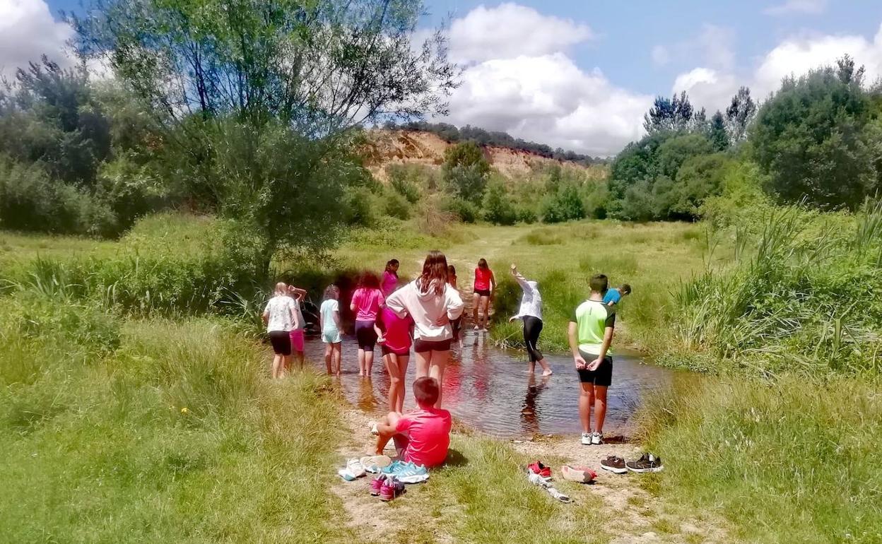 Una jornada con actividades en Benavides.