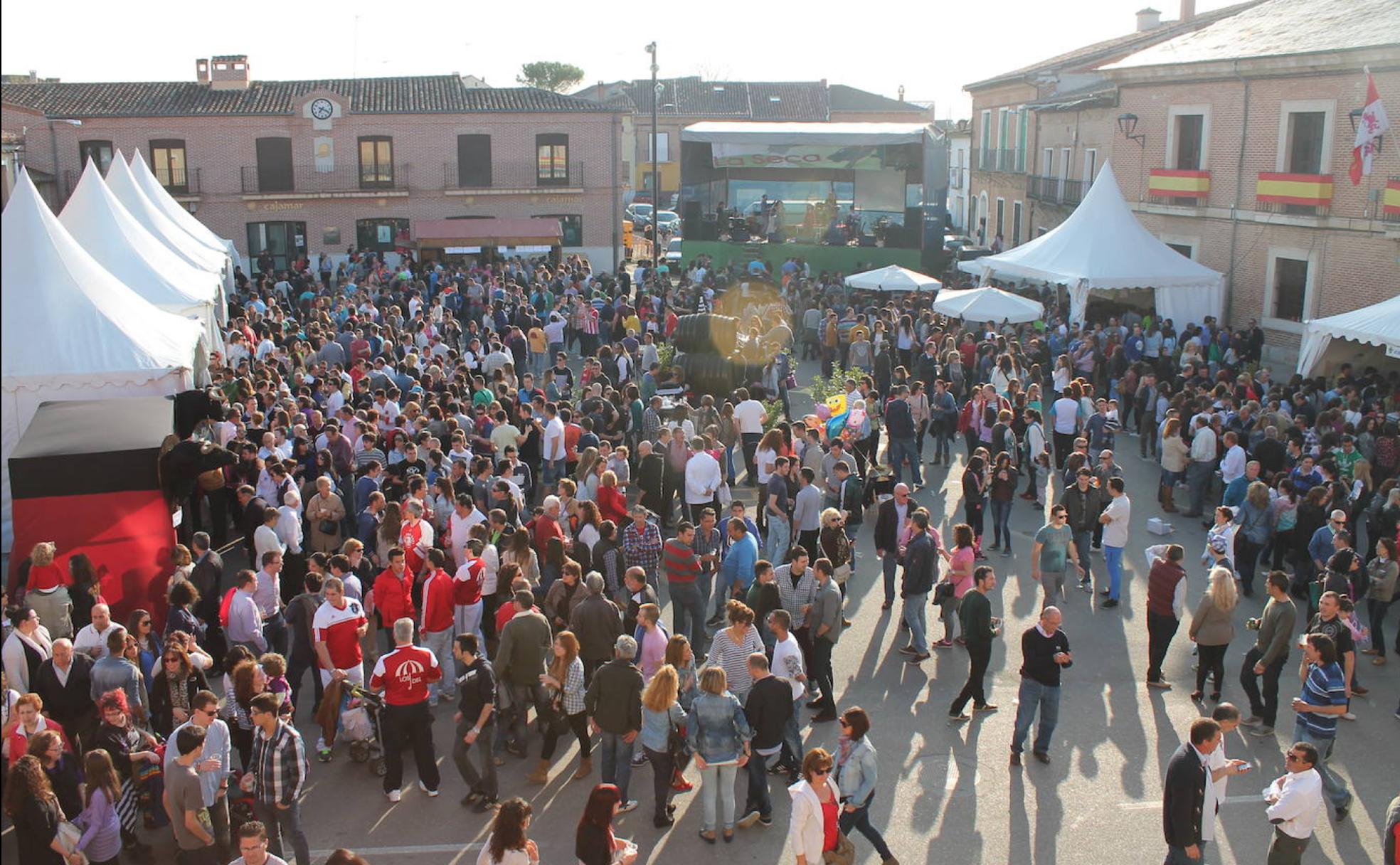 Vecinos y visitantes disfrutan de la Fiesta del Verdejo de La Seca, que se celebra en abril.