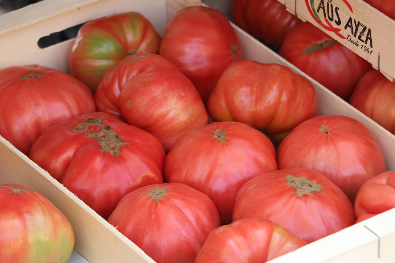 Fotos: De la huerta a la mesa, pasando por el mercado