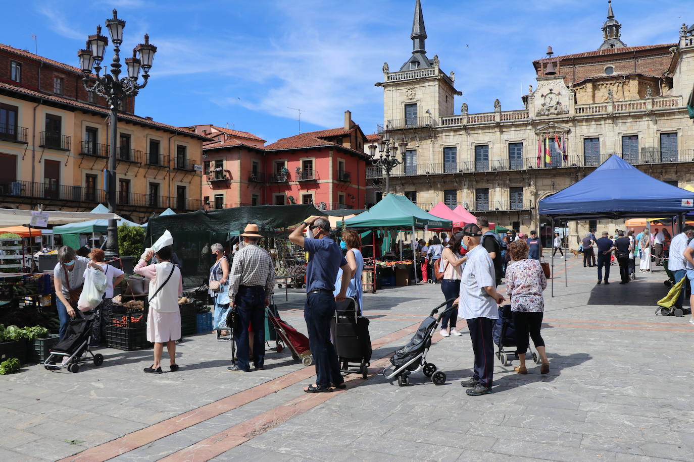 Fotos: De la huerta a la mesa, pasando por el mercado