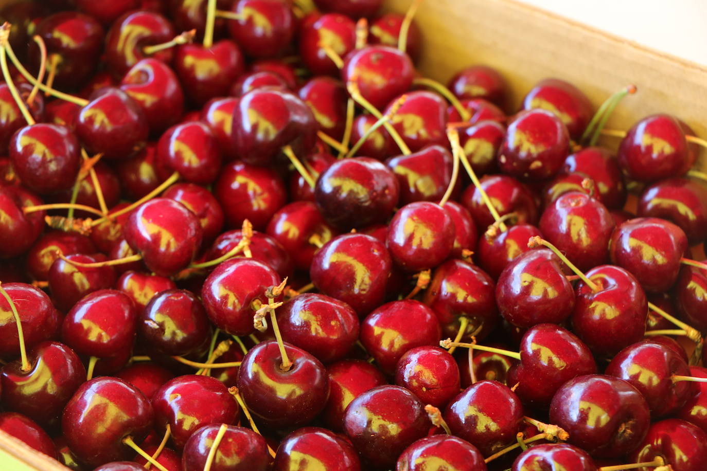 Fotos: De la huerta a la mesa, pasando por el mercado