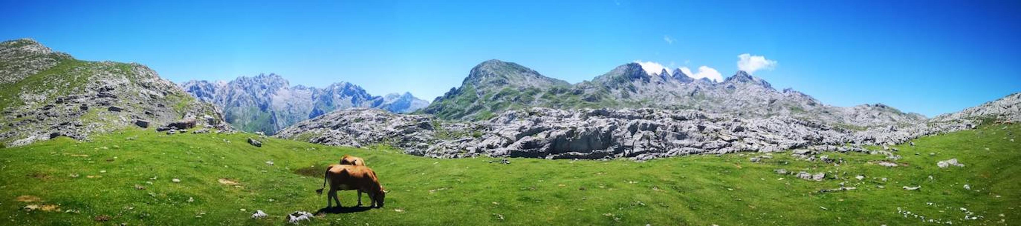 Vistas al macizo central con el Jultayu y el Cuvicente de fondo