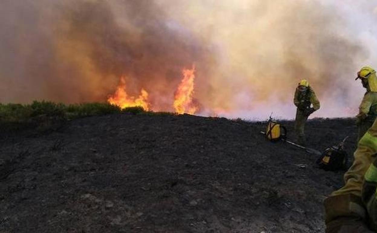 Incendio en la provincia de León.