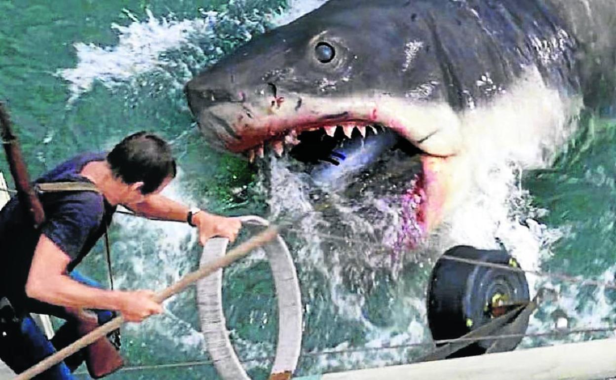 Fotograma de la película 'Tiburón', de Steven Spielberg.