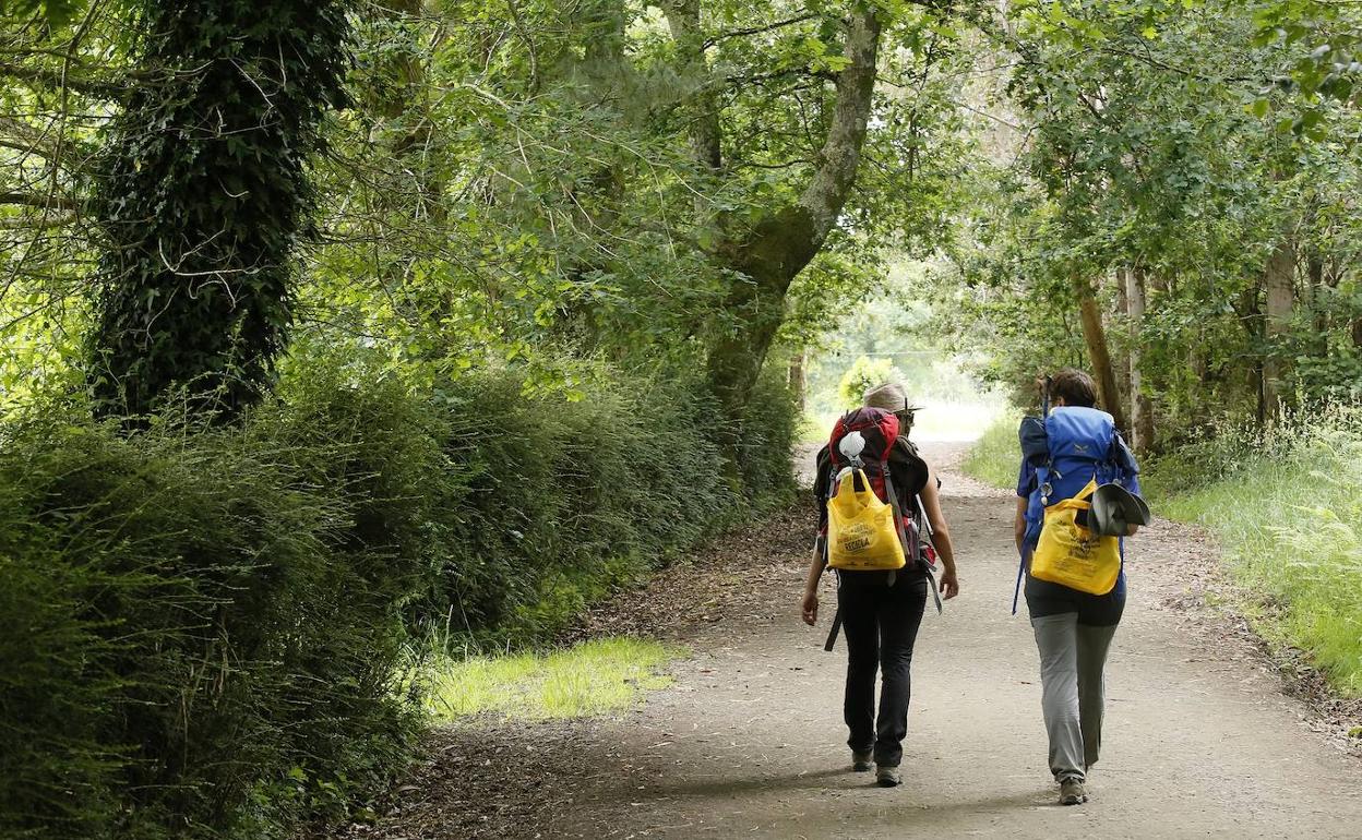 Imagen de la campaña de la Junta de Castilla y León.