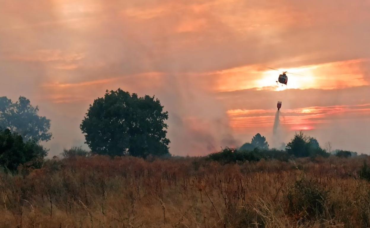 Un incendio provocado por un accidente agrícola calcina 17 hectáreas de trigo en Villafer