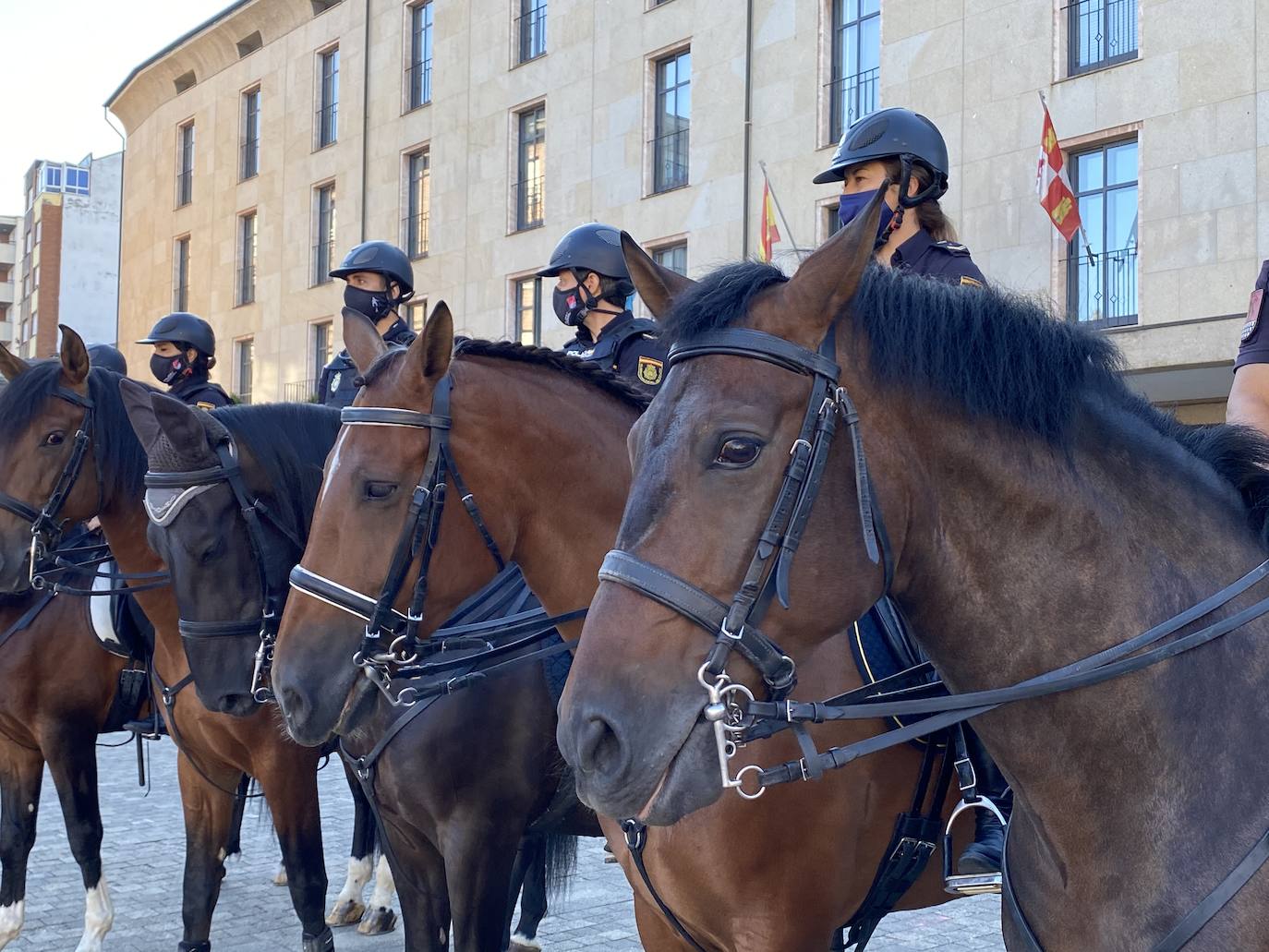 Fotos: Unidad de Caballería de la Policía Nacional en el Camino en Ponferrada