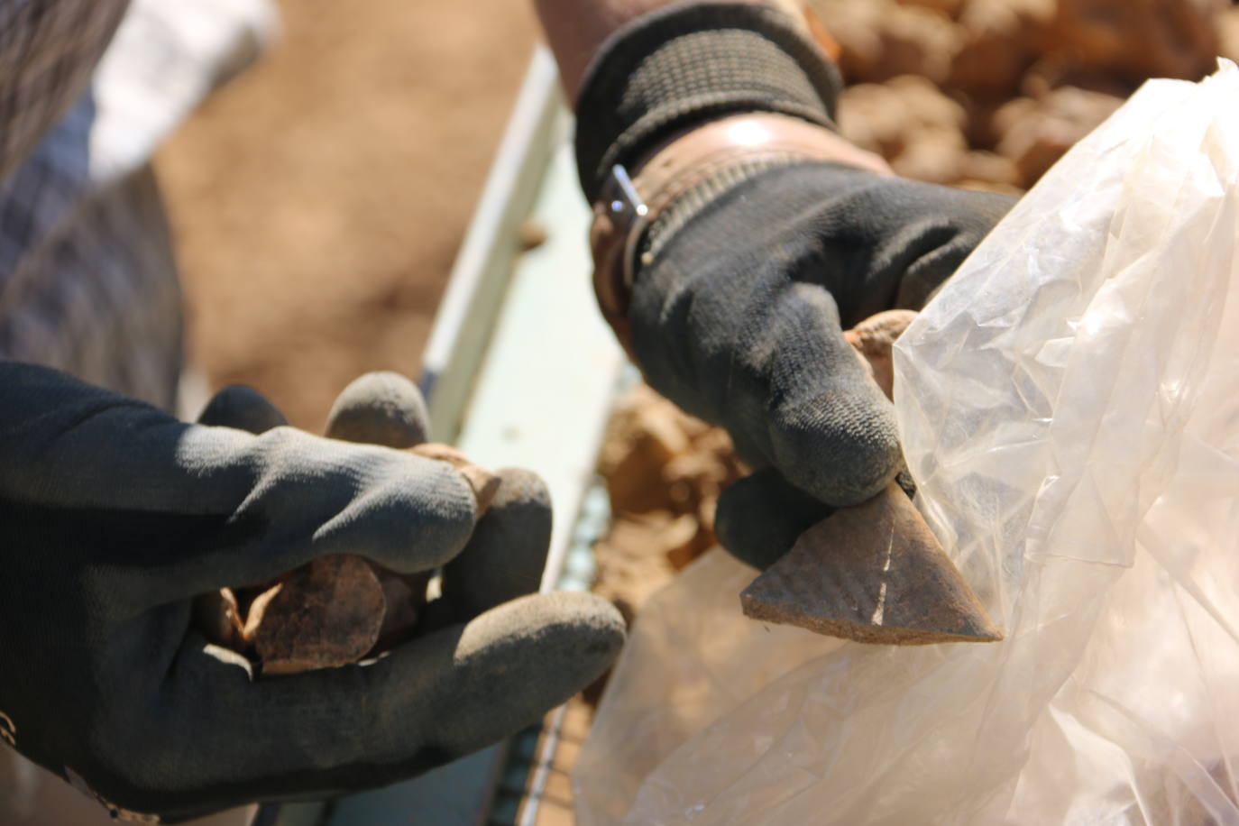 La excavación en imágenes. 