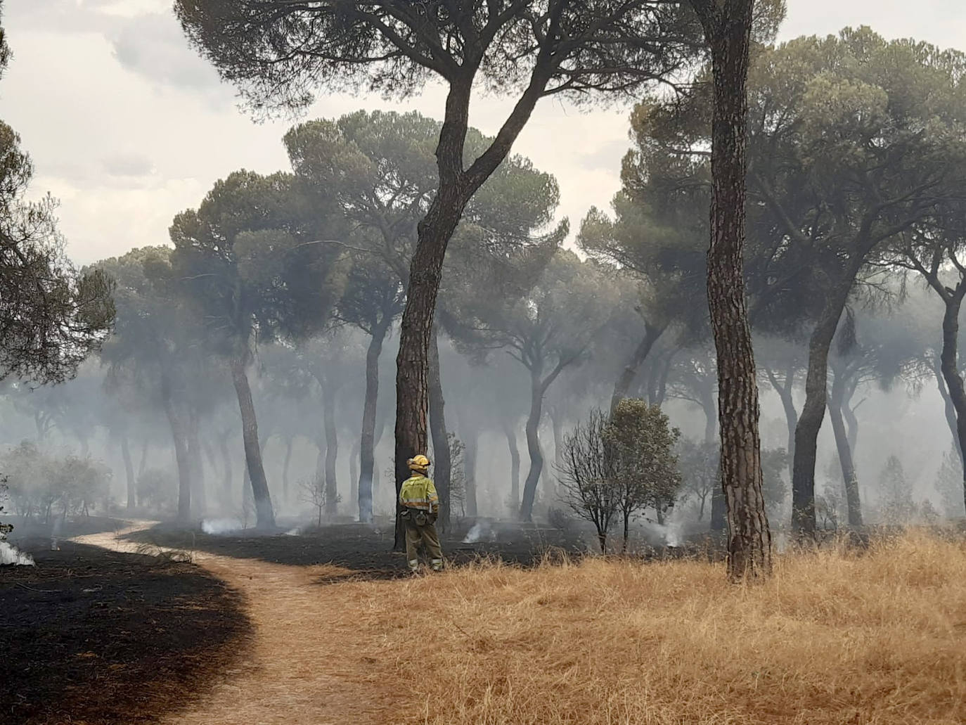 Fotos: Incendio forestal en El Tiemblo