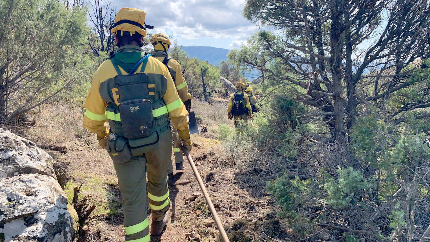 Fotos: Incendio forestal en El Tiemblo